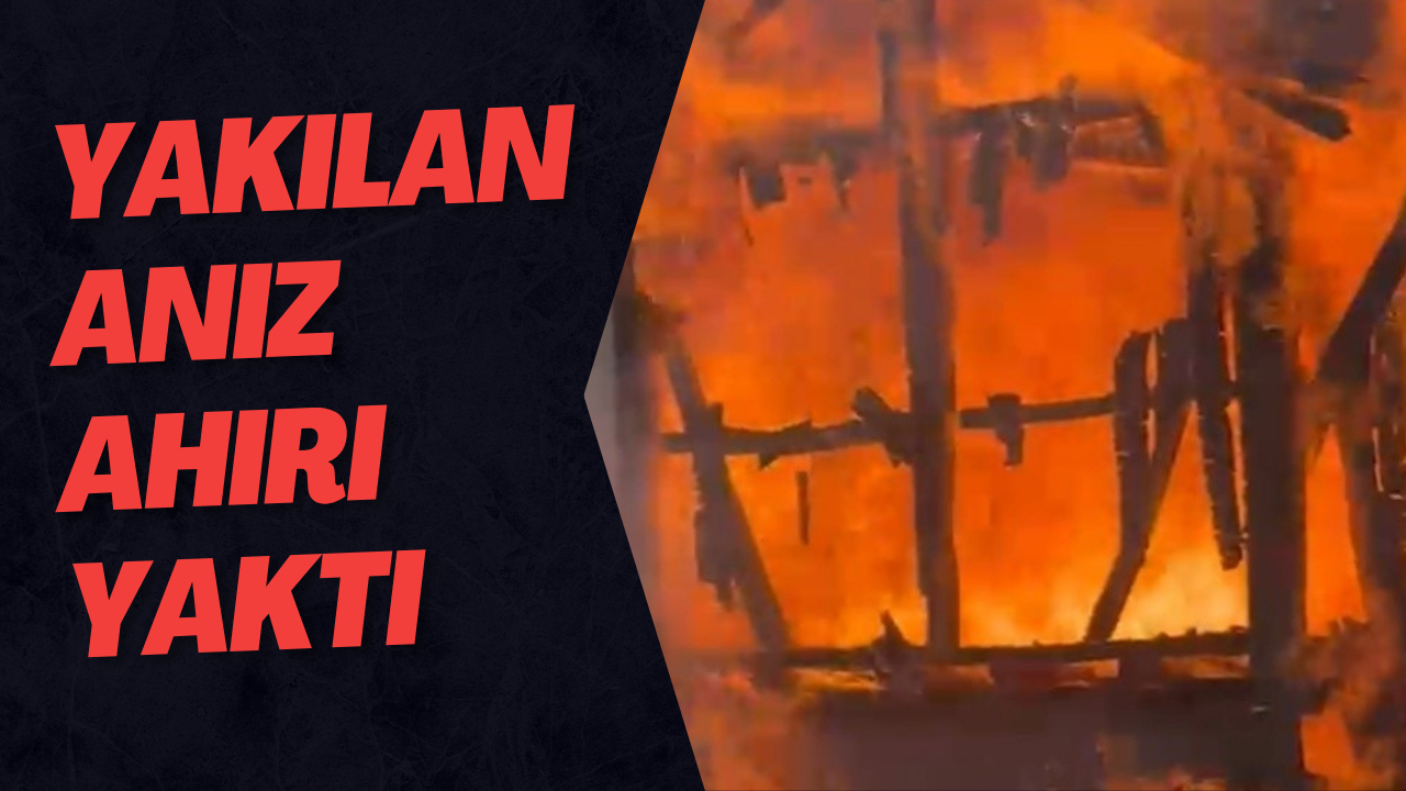 Yakılan Anız Ahırı Yaktı