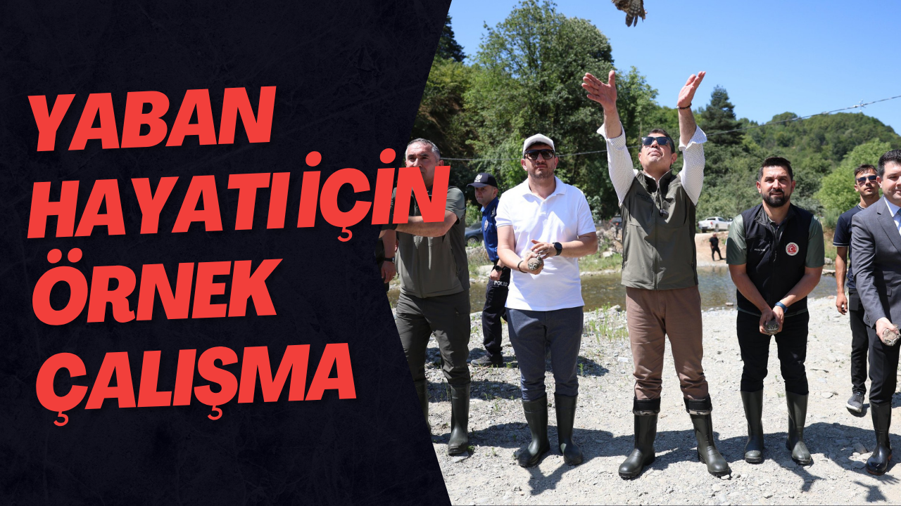 Yaban Hayatı İçin Örnek Çalışma