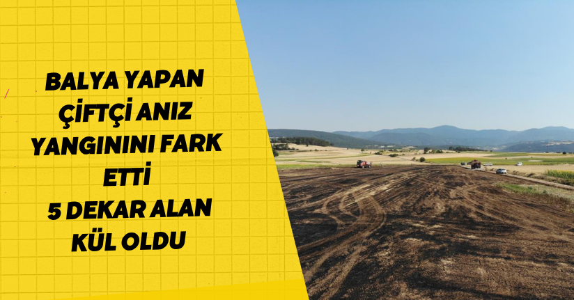 Balya yapan çiftçi anız yangınını fark etti: 5 dekar alan kül oldu
