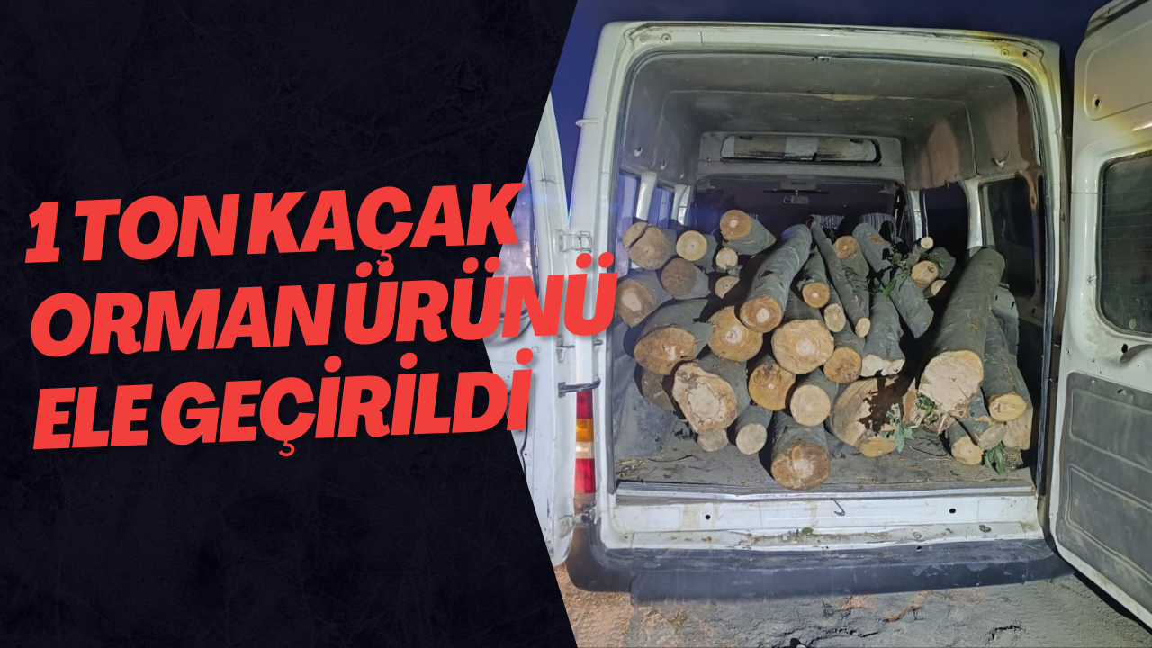 1 Ton Kaçak Orman Ürünü Ele Geçirildi