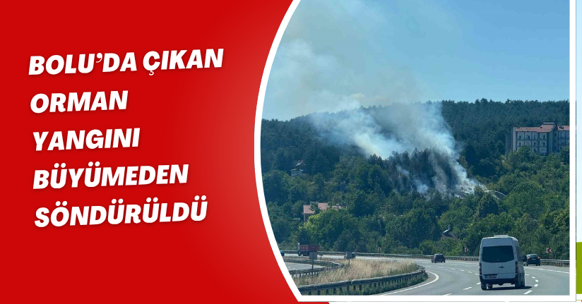 Bolu’da çıkan orman yangını büyümeden söndürüldü