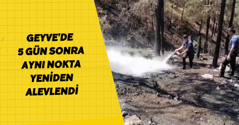Geyve’de 5 gün sonra aynı nokta yeniden alevlendi