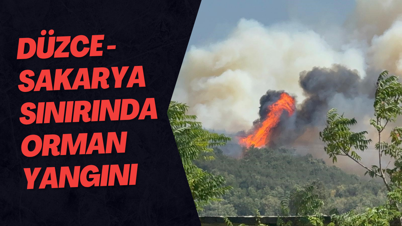 Düzce - Sakarya Sınırında Orman Yangını