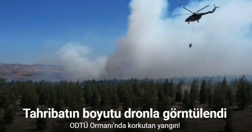ODTÜ Ormanı’ndaki yangının tahribatı havadan görüntülendi