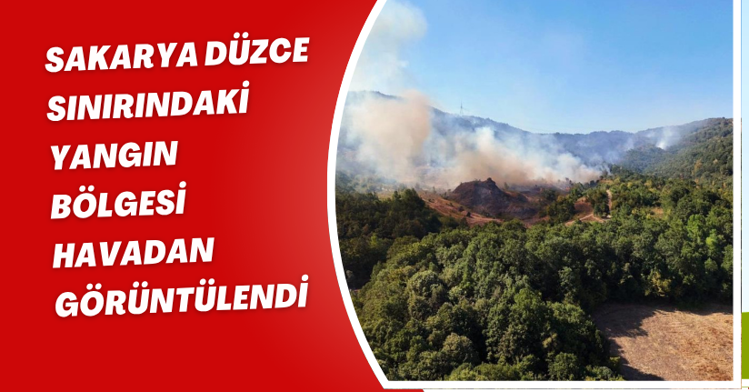 Sakarya-Düzce sınırındaki yangın bölgesi havadan görüntülendi