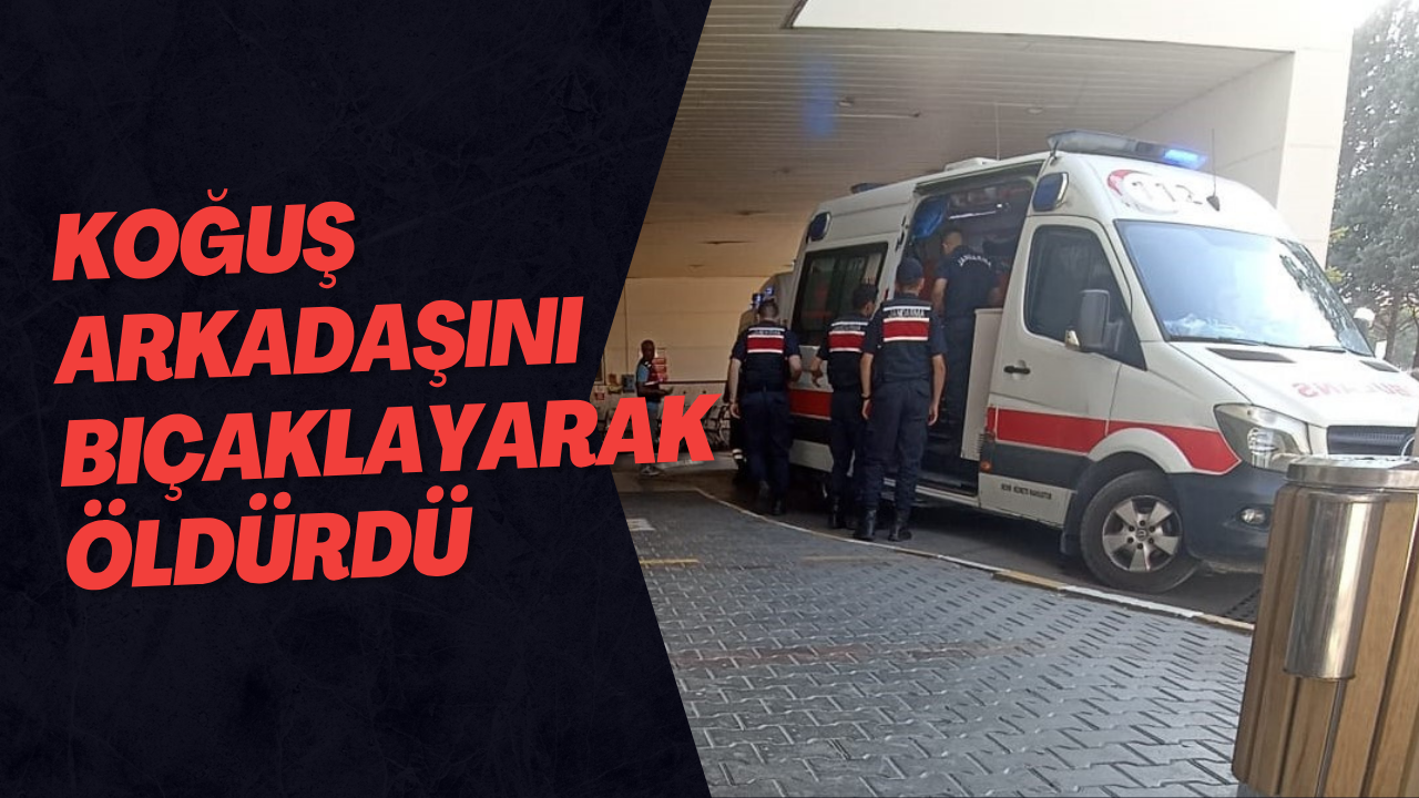 Koğuş Arkadaşını Bıçaklayarak Öldürdü