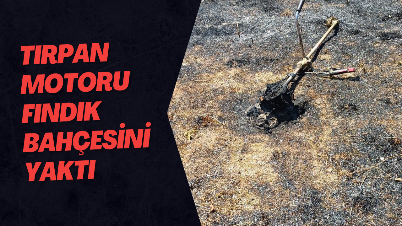 Tırpan Motoru Fındık Bahçesini Yaktı