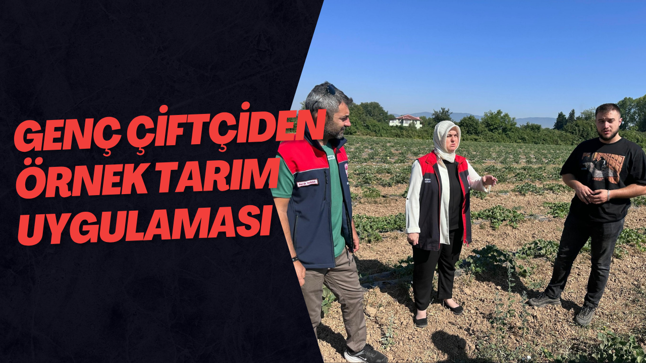 Genç Çiftçiden Örnek Tarım Uygulaması