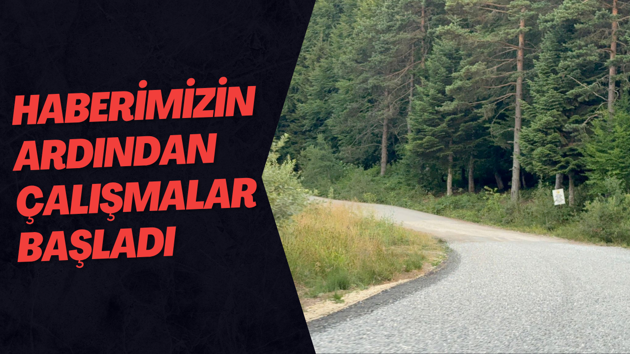 Haberimizin Ardından Çalışmalar Başladı