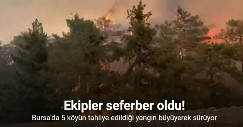 Bursa’da 5 köyün tahliye edildiği yangın büyüyerek sürüyor