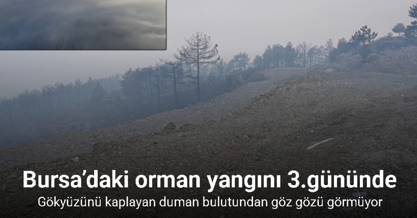 Bursa’daki orman yangını 3.gününde...
