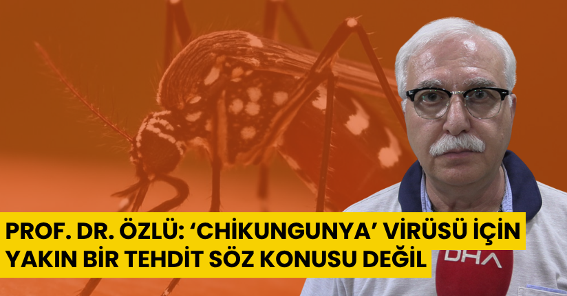 Prof. Dr. Özlü: ‘Chikungunya’ virüsü için yakın bir tehdit söz konusu değil