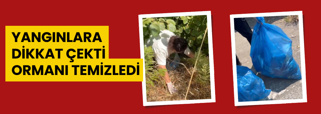 Yangınlara dikkat çekti, ormanı temizledi