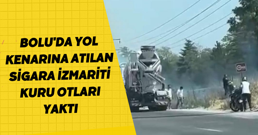 Bolu'da yol kenarına atılan sigara izmariti, kuru otları yaktı