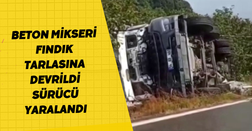 Beton mikseri fındık tarlasına devrildi: Sürücü yaralandı