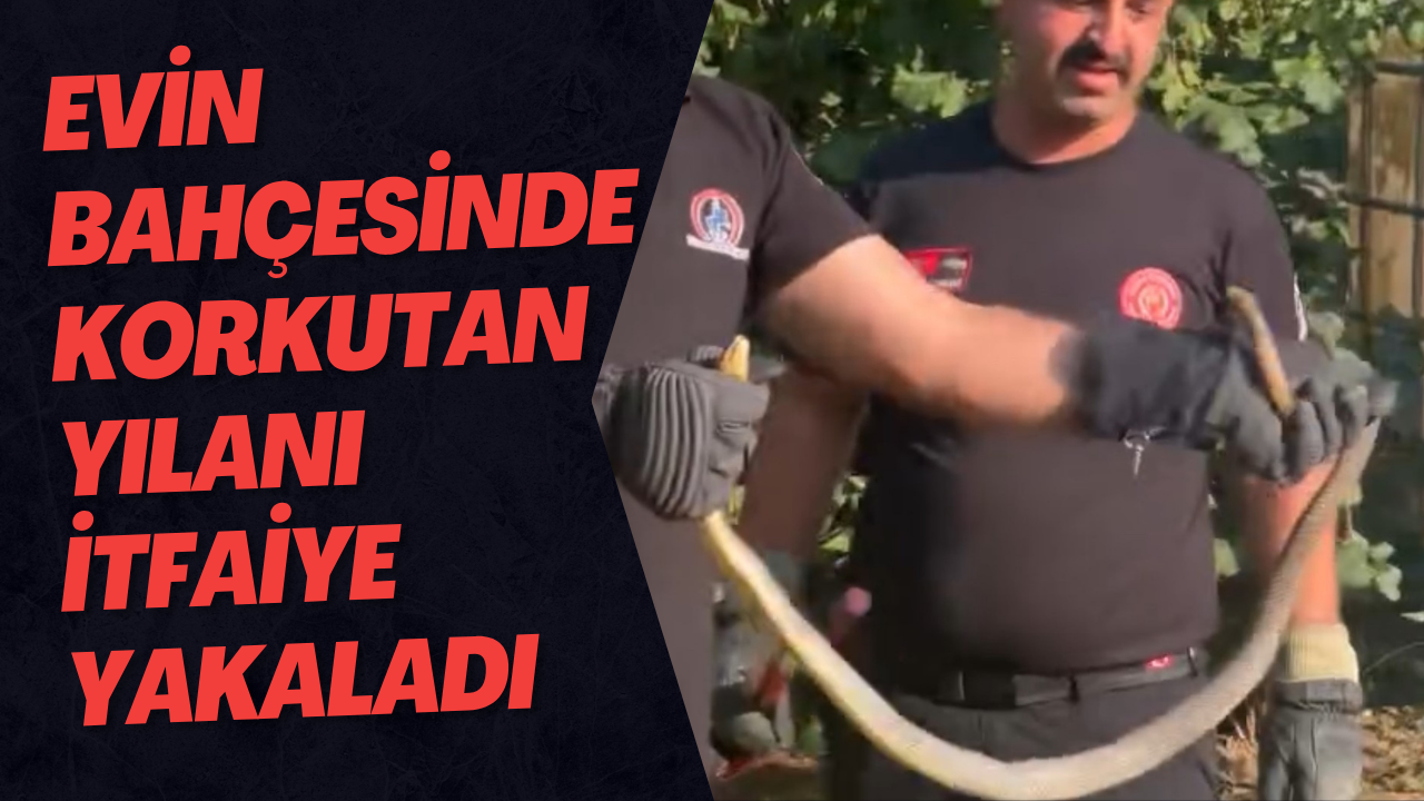 Evin Bahçesinde Korkutan Yılanı İtfaiye Yakaladı