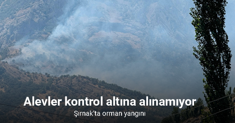 Şırnak’ta orman yangını: Alevler kontrol altına alınamıyor