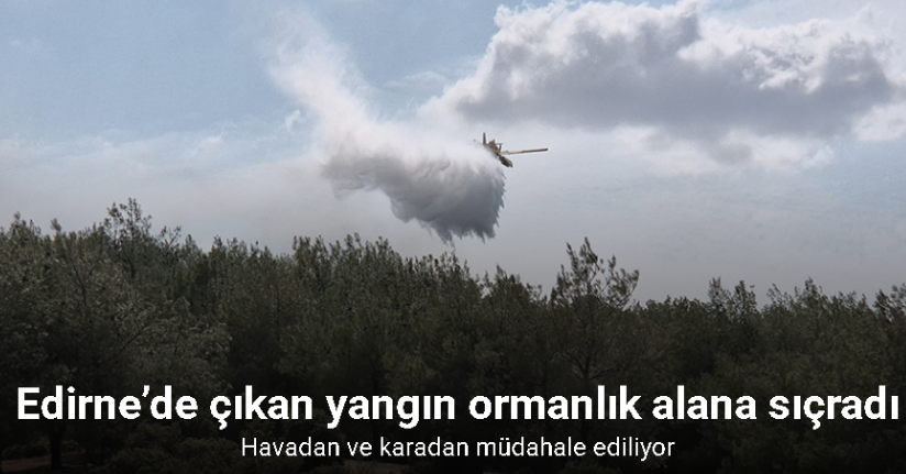 Edirne’de çıkan yangın ormanlık alana sıçradı: Havadan ve karadan müdahale ediliyor