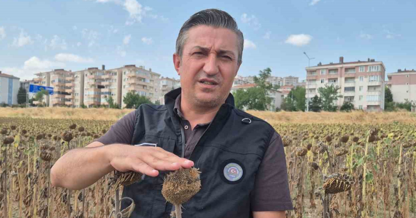 Kendilerine kepçeyle, çiftçiye çay kaşığıyla: Trakya Birlik’e tepki büyüyor