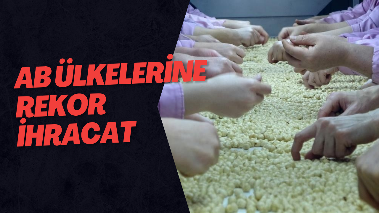 AB Ülkelerine Rekor İhracat