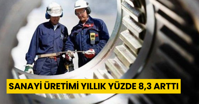 Sanayi üretimi yıllık yüzde 8,3 arttı
