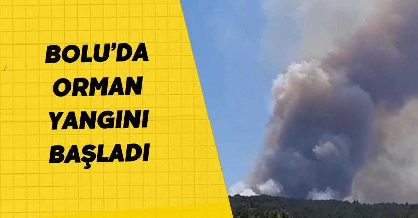 Bolu’da orman yangını başladı