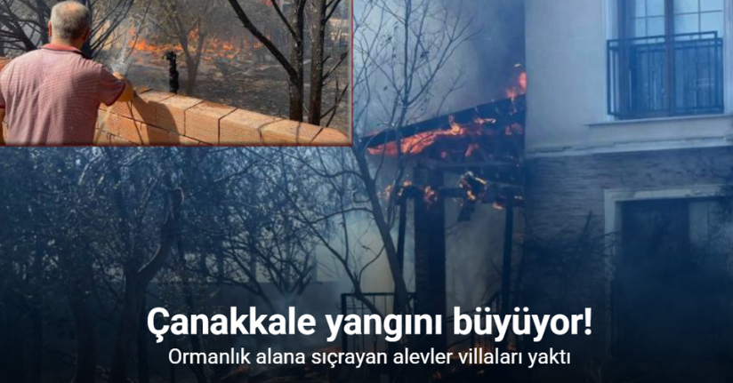 Çanakkale’de ormanlık alana sıçrayan yangında villalar yandı