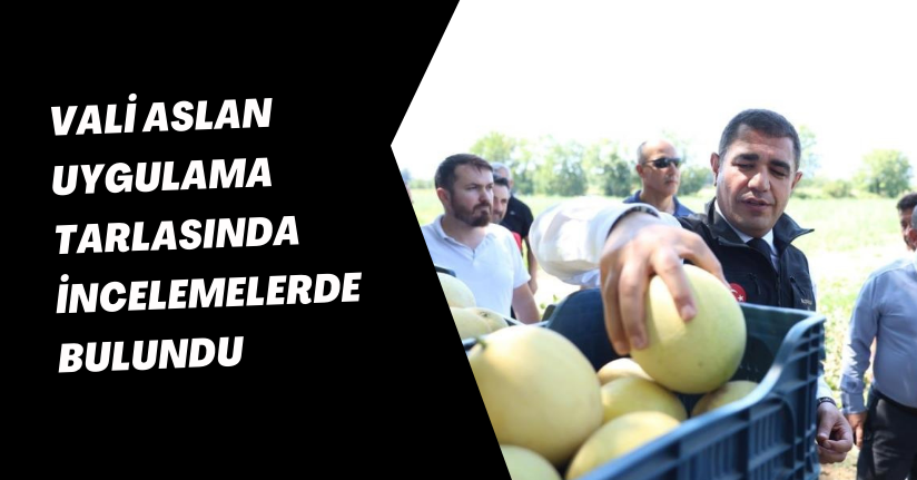Vali Aslan, uygulama tarlasında incelemelerde bulundu