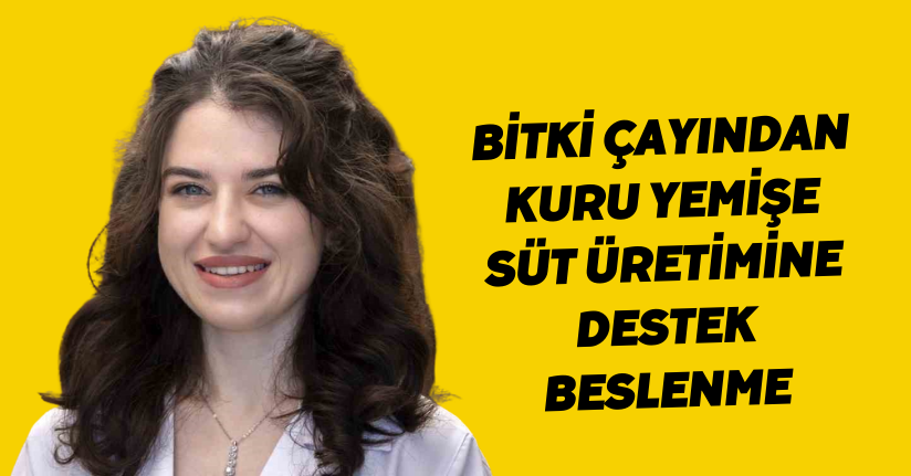 Bitki çayından kuru yemişe: Süt üretimine destek beslenme