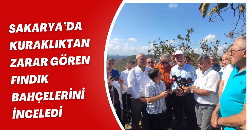Sakarya’da kuraklıktan zarar gören fındık bahçelerini inceledi