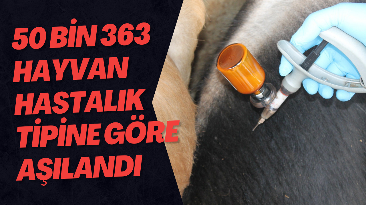50 Bin 363 Hayvan Hastalık Tipine Göre Aşılandı