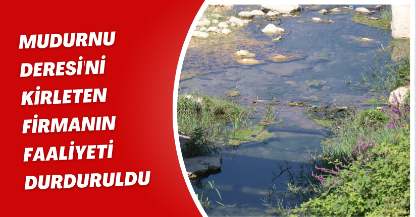 Mudurnu Deresi'ni kirleten firmanın faaliyeti durduruldu