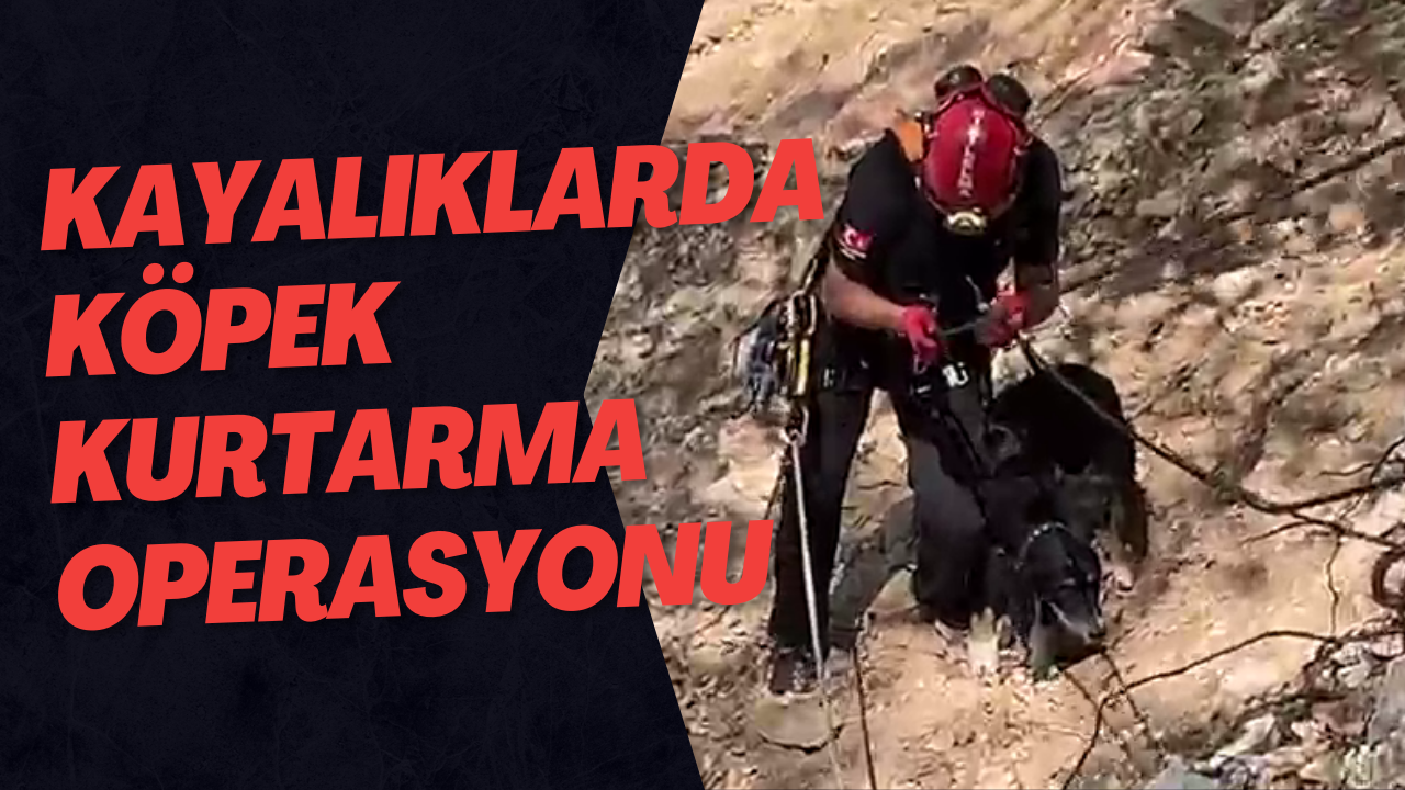 Kayalıklarda Köpek Kurtarma Operasyonu