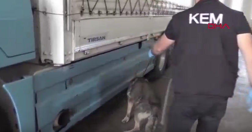 Kapıkule'de 245 kilo esrarı 'Füge' buldu