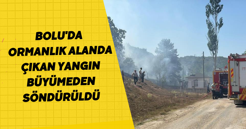  Bolu'da ormanlık alanda çıkan yangın büyümeden söndürüldü