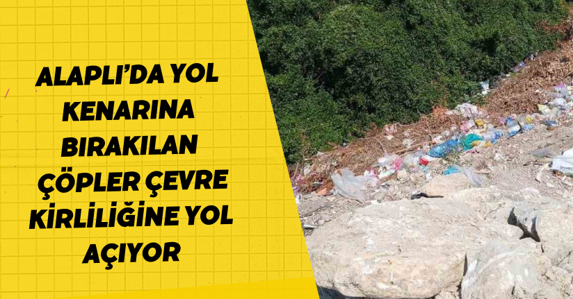 Alaplı’da yol kenarına bırakılan çöpler çevre kirliliğine yol açıyor
