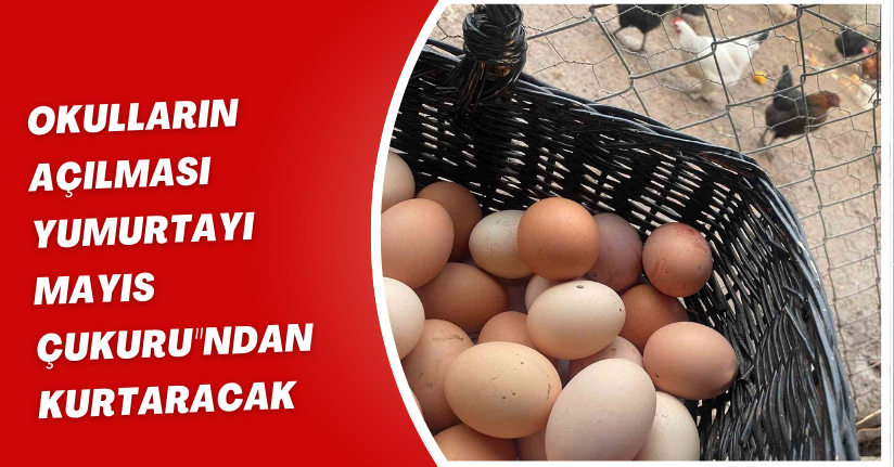 Okulların açılması yumurtayı