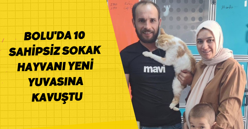 Bolu'da 10 sahipsiz sokak hayvanı yeni yuvasına kavuştu