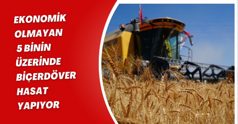 Ekonomik olmayan 5 binin üzerinde biçerdöver hasat yapıyor