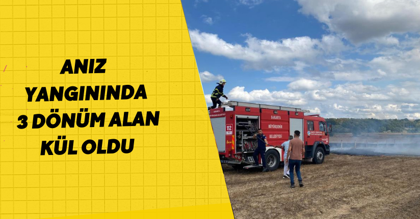 Anız yangınında 3 dönüm alan kül oldu