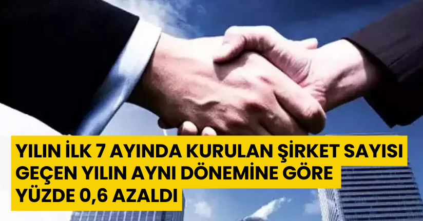Yılın ilk 7 ayında kurulan şirket sayısı, geçen yılın aynı dönemine göre yüzde 0,6 azaldı