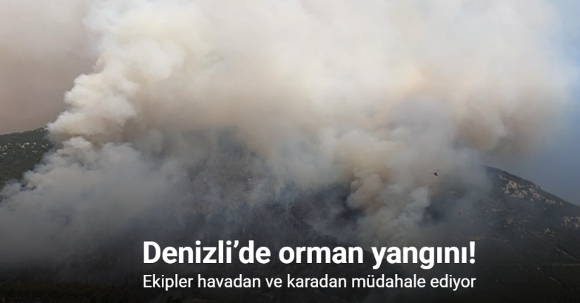Denizli’de çıkan orman yangınını söndürme çalışmaları aralıksız devam ediyor