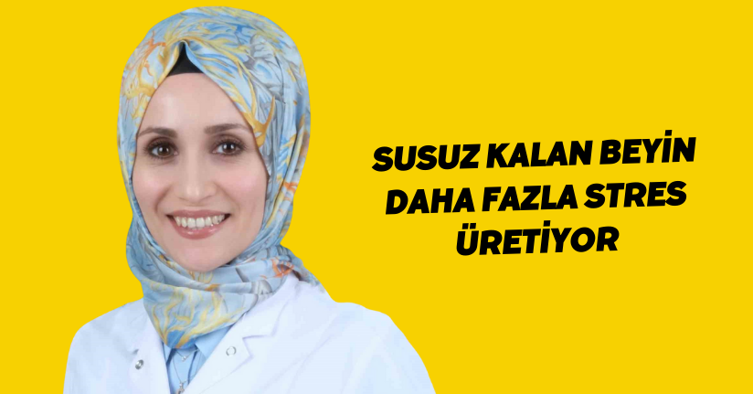 Susuz kalan beyin, daha fazla stres üretiyor