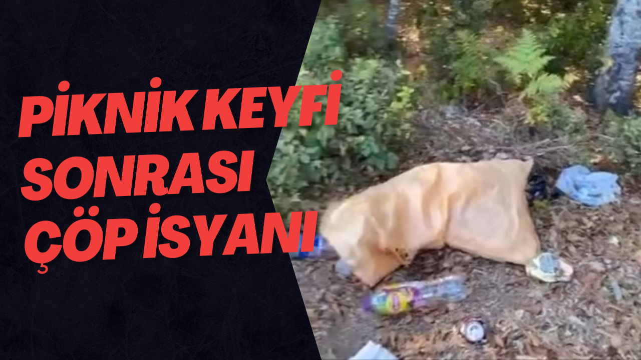 Piknik Keyfi Sonrası Çöp İsyanı