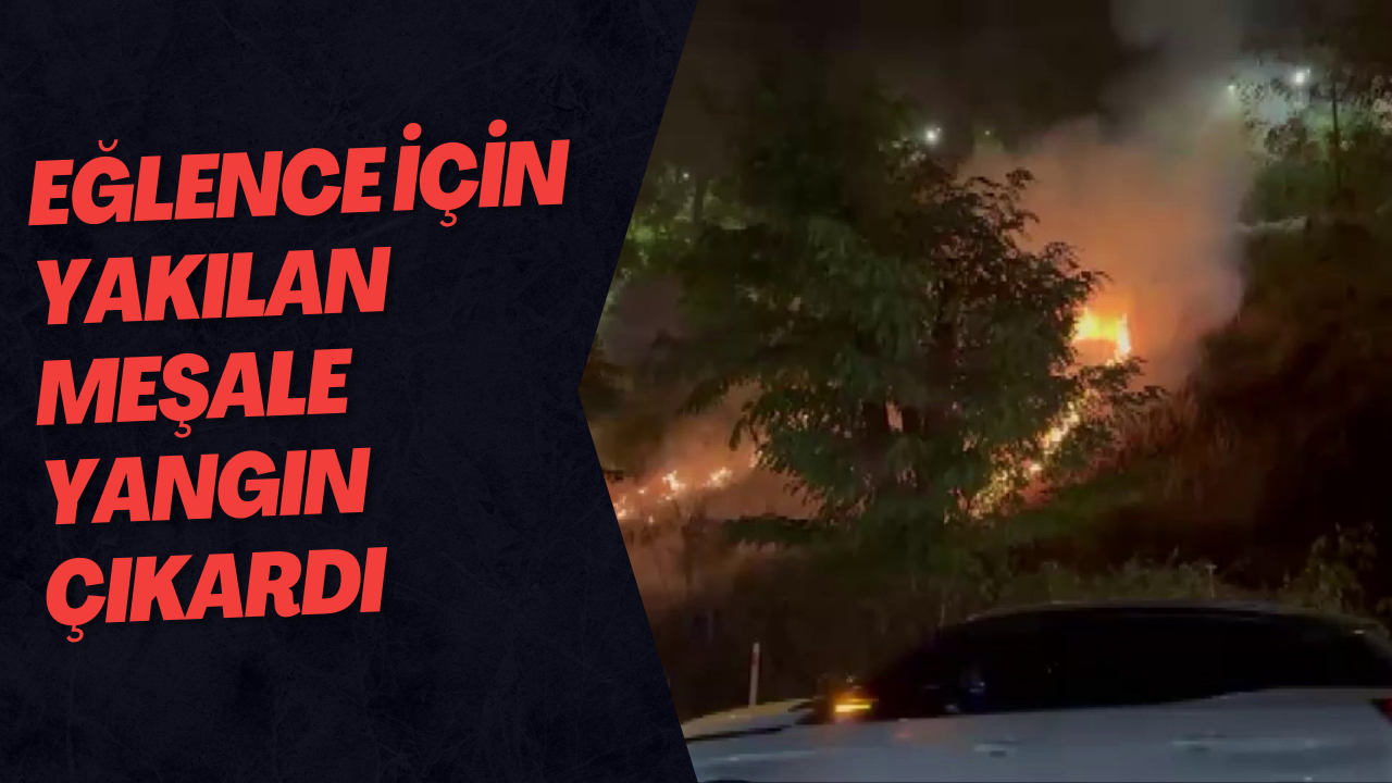 Eğlence İçin Yakılan Meşale Yangın Çıkardı