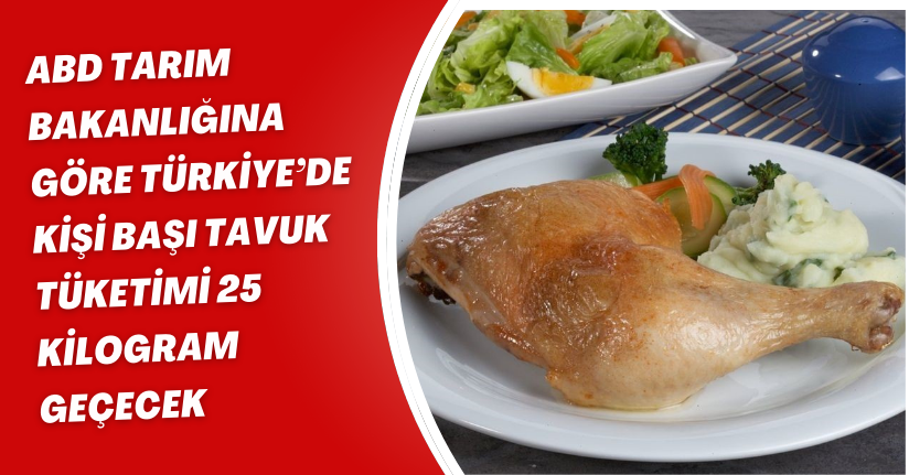 ABD Tarım Bakanlığına göre Türkiye’de kişi başı tavuk tüketimi 25 kilogram geçecek