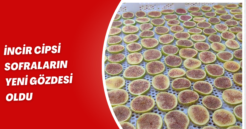 İncir cipsi sofraların yeni gözdesi oldu