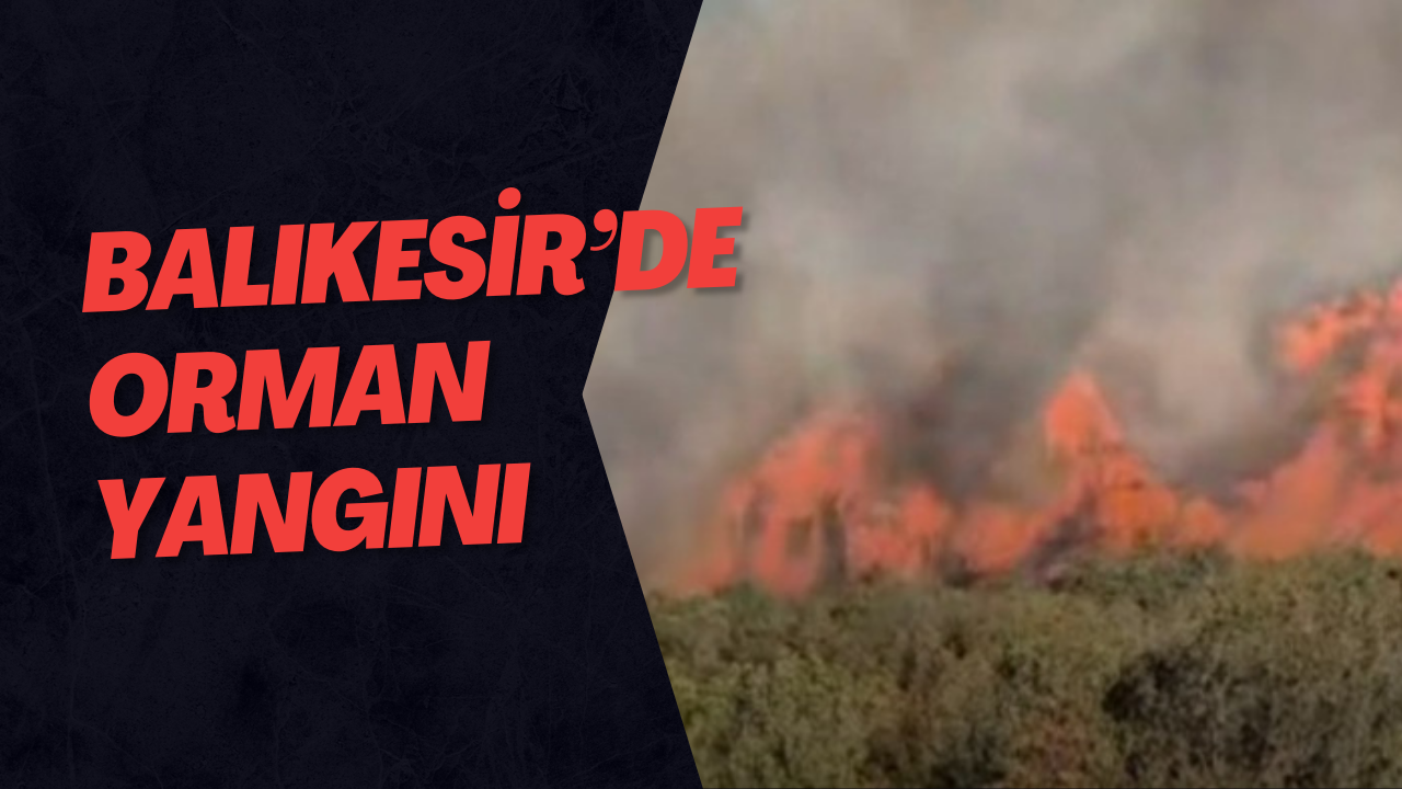 Balıkesir’de orman yangını