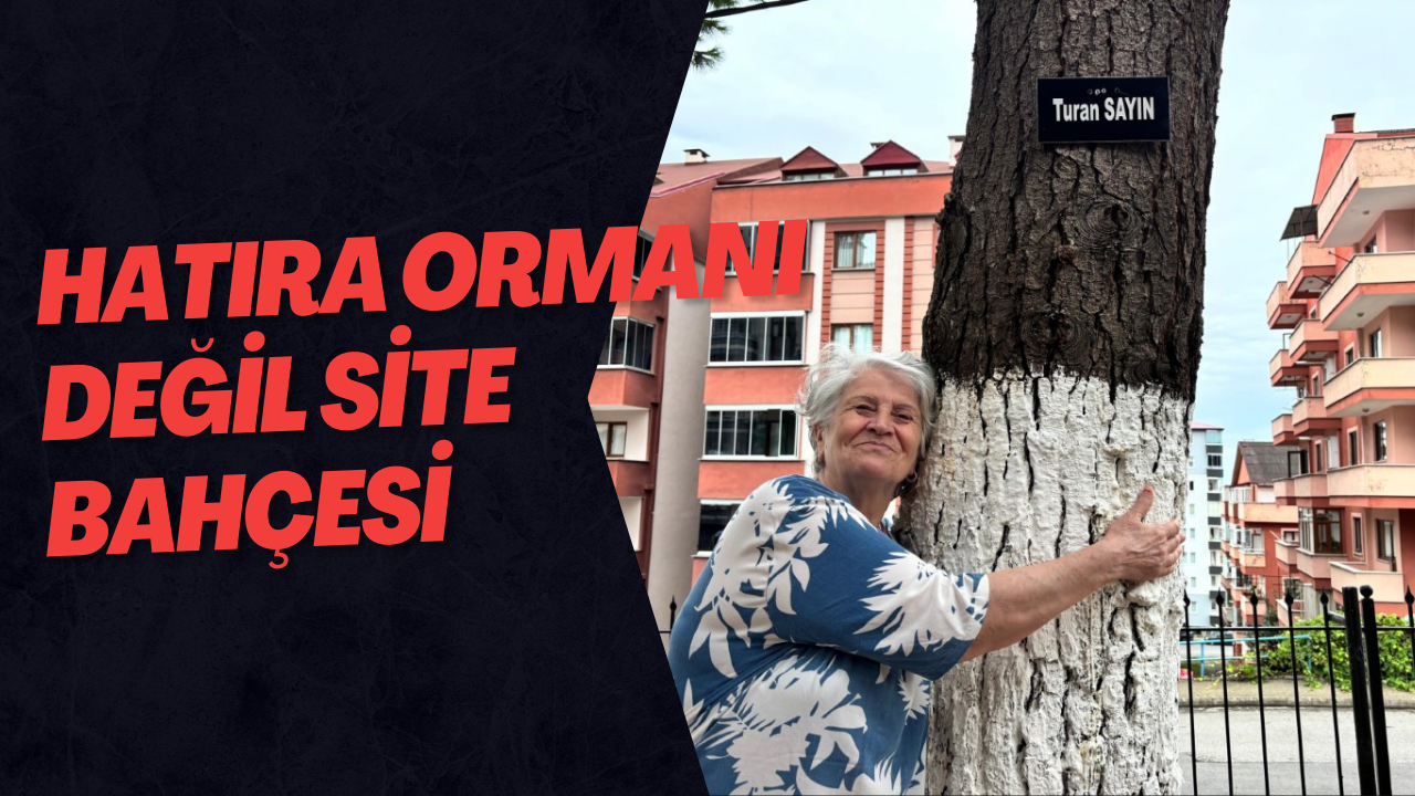 Hatıra ormanı değil site bahçesi