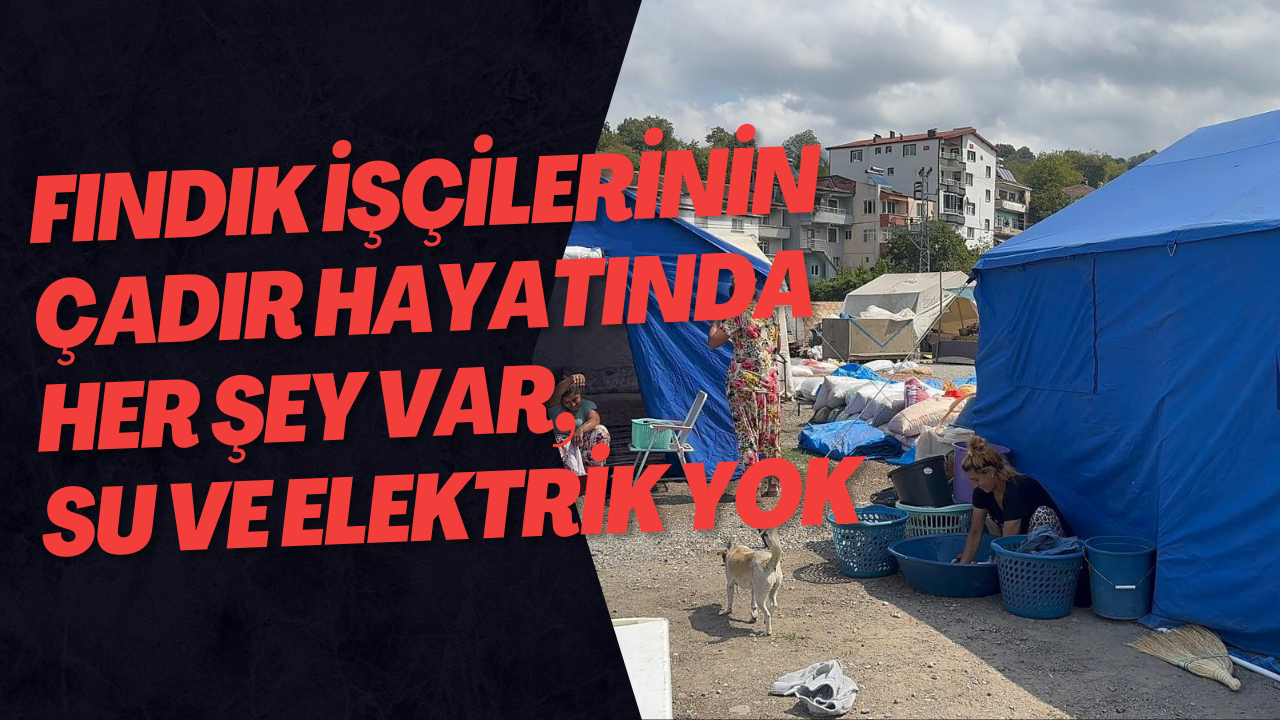 Fındık İşçilerinin Çadır Hayatında Her Şey Var, Su Ve Elektrik Yok